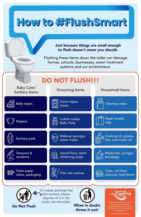 HowtoFLUSHSMART English scaled