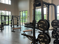 free weights