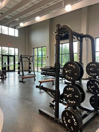 free weights