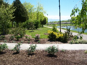 West Prong Greenway Trail